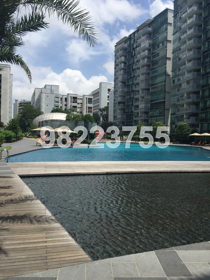 The Minton (D19), Condominium #149622982